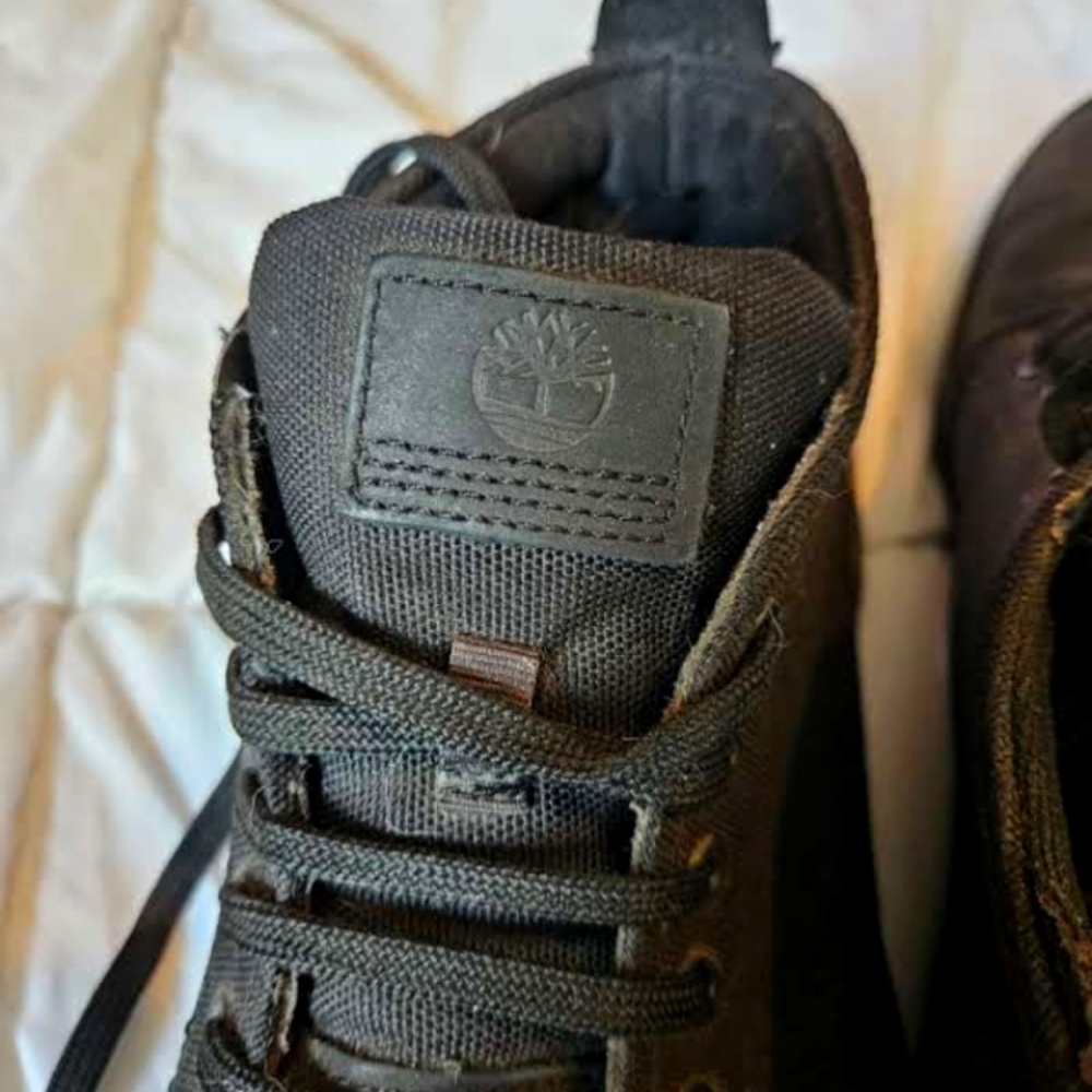 Timberland shoes mens 12